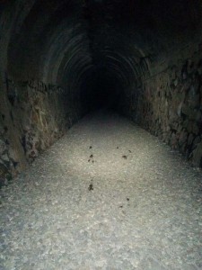 旧福知山線のトンネル内