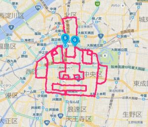 大阪顔マラソンのログ