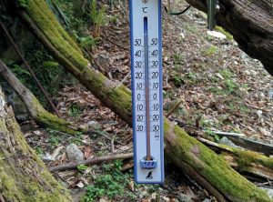 カトラ谷水場の温度計